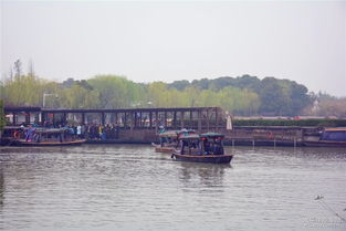蘇州博越車友會(huì)常熟分會(huì)沙家浜踏青游 春風(fēng)十里，車友情深